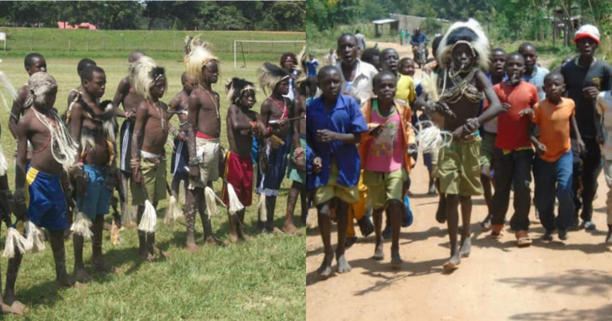 Census 2019 Bukusu Is Most Populous Luhya Sub Tribe