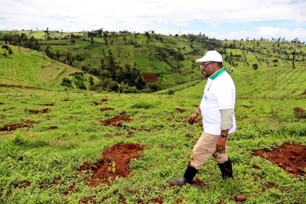 Rift Valley leaders buy 24-acre land for Mau Forest evictees