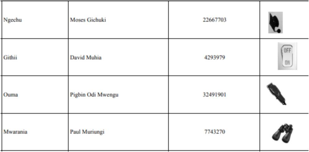 Independent candidates seeking the presidency. Photo: IEBC.