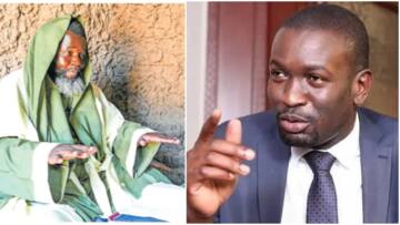 Edwin Sifuna Tickled after Yesu Wa Tongaren Said Only 2 Nairobians Will Go to Heaven: "Need to Meet this Guy”