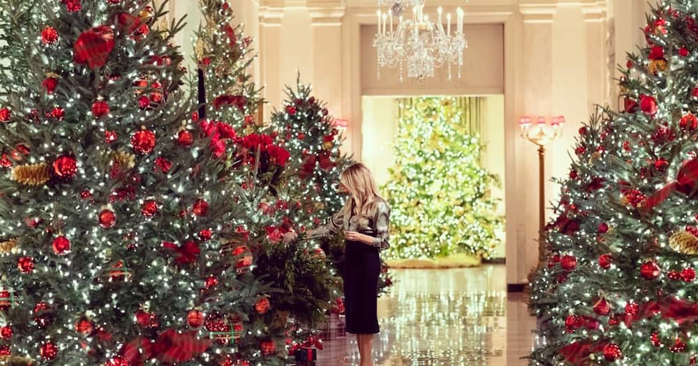 Melania Trump decorates White House for one last Christmas ahead of their departure