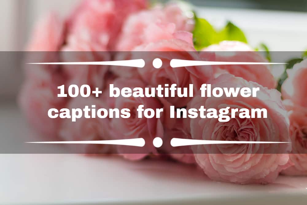 flower captions for Instagram