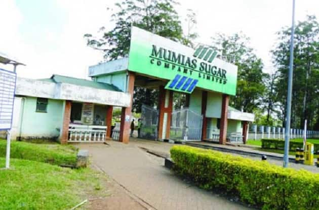 Mumias sugar company sinks further into KSh 15 billion loss