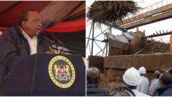 Uhuru Kenyatta Injects KSh 500m to Nzoia Sugar to Pay Famers, Workers