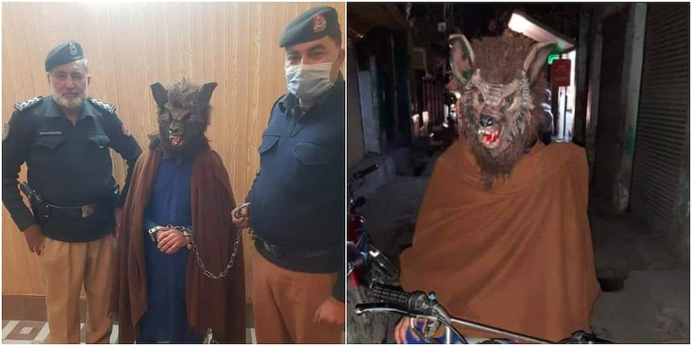 Man arrested for dressing as werewolf to scare people on new year’s eve