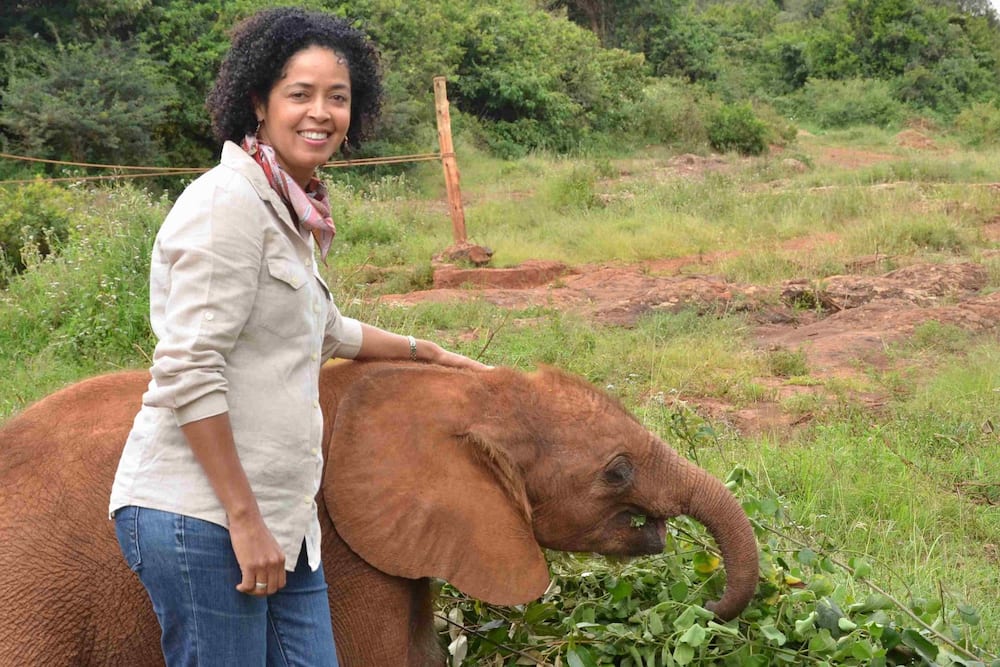 Paula Kahumbu: KWS denies banning conservationist from Nairobi National Park