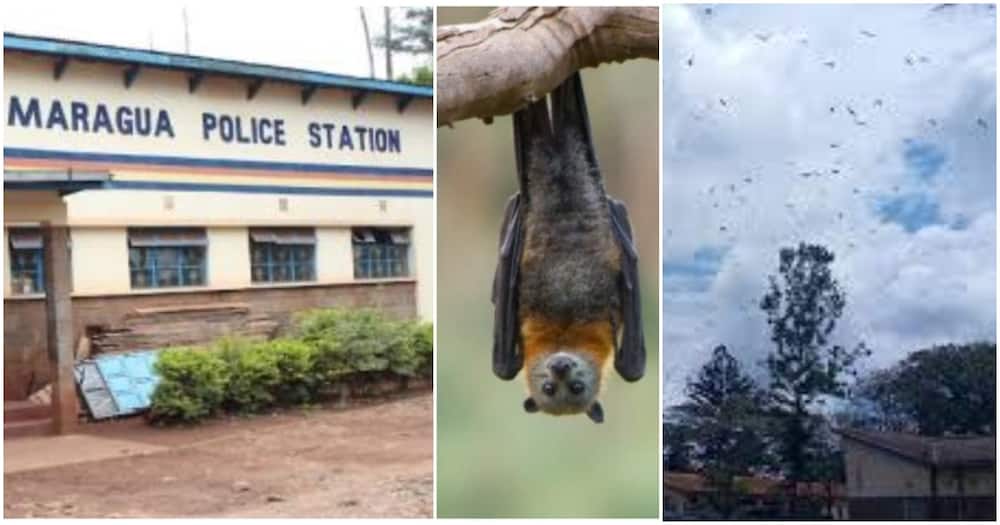 Maragua Police Station. Photo: Kenya Police.