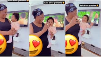 Vera Sidika Shares Cute Video of Daughter Asia Brown Enjoying Playful Moments with Grandmother