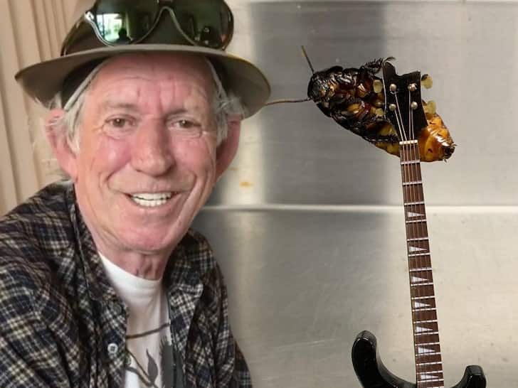 Musician Keith Richard gets cockroach named after him for 77th birthday