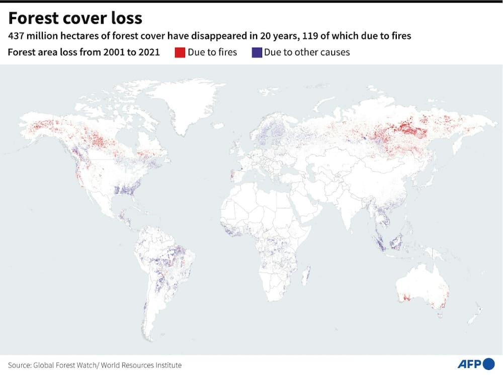 Forest cover loss