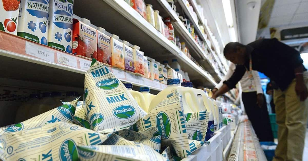 List of Milk Companies in Kenya, Brands They Manufacture and Their