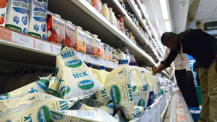 List of Milk Companies in Kenya, Brands They Manufacture and Their Owners