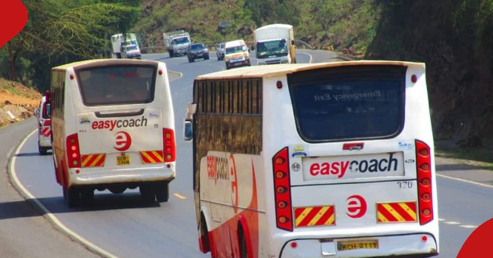 Easy Coach urged customers to book early and save the KSh 100.