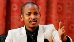 Babu Owino Claims He's Certified Pilot after Sharing Video Flying Plane: "I've Done 50 Hours"