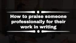 How to praise someone professionally for their work in writing