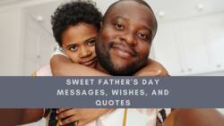 100 best sweet Father's Day messages, wishes, and quotes
