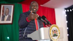 William Ruto Orders Police to Deal with Cattle Rustlers Firmly, Decisively: "Sio Tafadhali"
