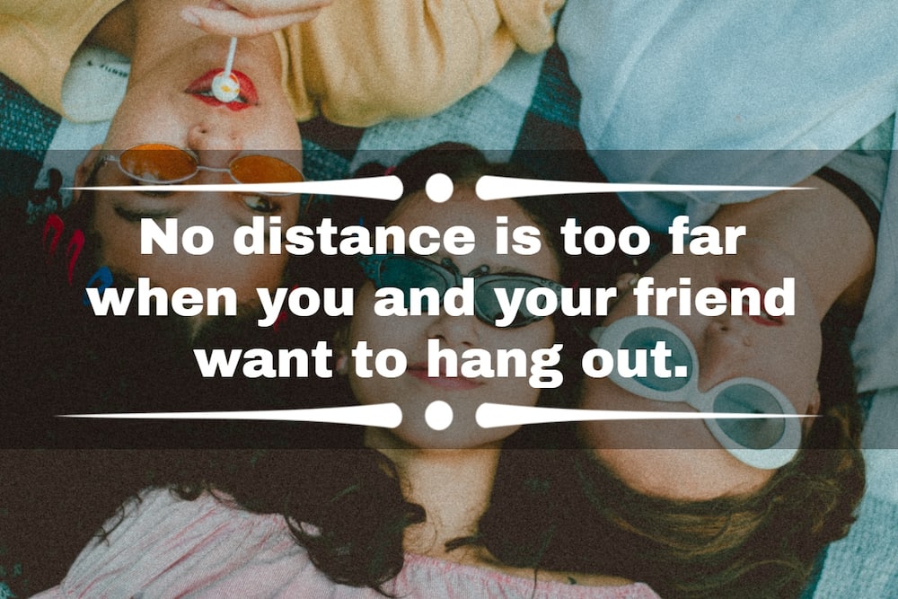 Happy Internet Friends Day Messages, Best Friend Quotes