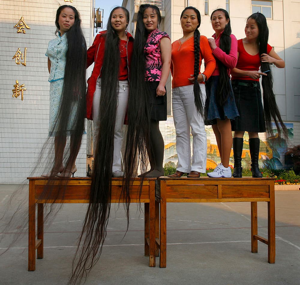 Longest hair in the world