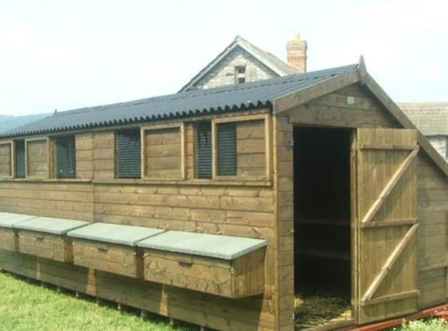 chicken house plans for 500 chickens