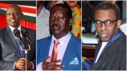 Let Losers Go Home: Ahmednasir Advises Ruto against Creating Opposition Leader's Office