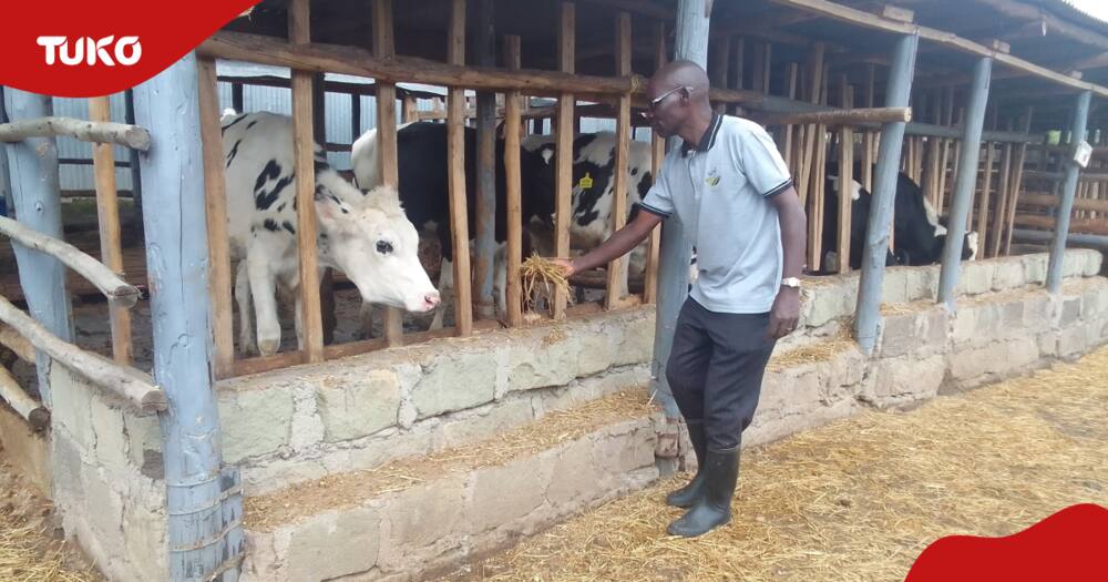 Kenneth Kaburu, the manager of Wilda Farm