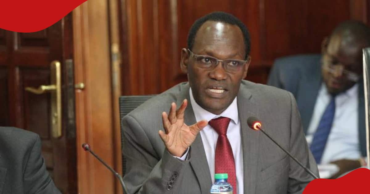 Treasury PS Chris Kiptoo Insists Kenyans Are Not Overtaxed, Calls for Patriotism: "It's Good for Us"