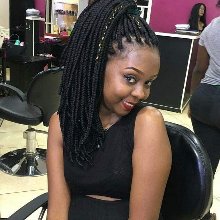 Brazilian Wool Braids - Natural Hair Kenya