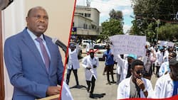 Doctors' Strike: Hope as Govt Releases KSh 2.4b to Hire Interns, Asks KMPDU to End Mass Action