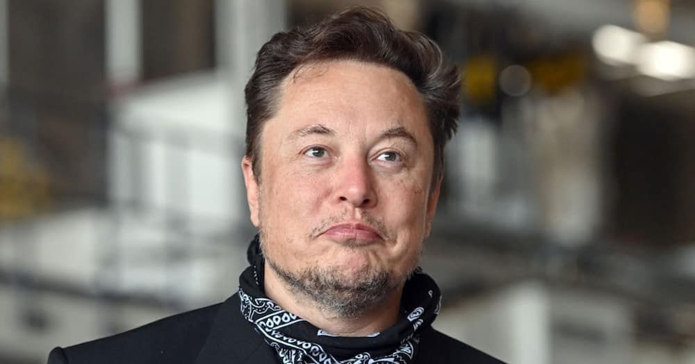 Elon Musk asked if he should quit his job.