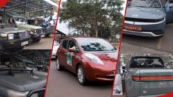 Africa Climate Summit: KWS Showcases Fleet of Electric Vehicles at Nairobi National Park for Sustainable Tourism
