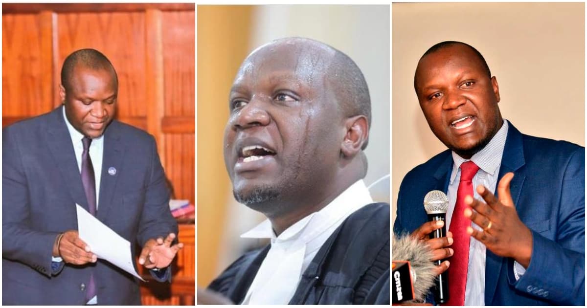 Willis Otieno: 7 Photos of 'Piki Piki Ponki' Lawyer Who Wanted to...