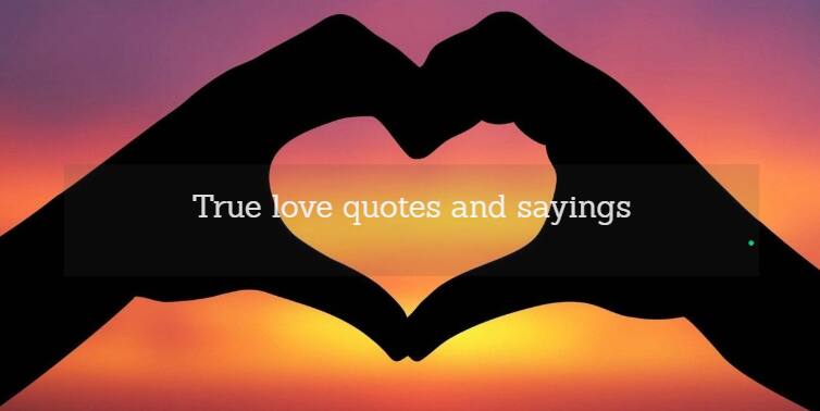 True love quotes and sayings 