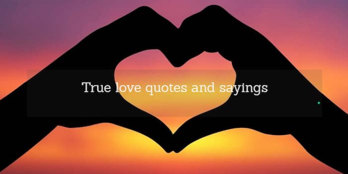 true love quotes and sayings