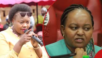 Gathoni Wamuchomba Tells Off Anne Waiguru for Defending Failures in Gov't: "Stop Lecturing Us"