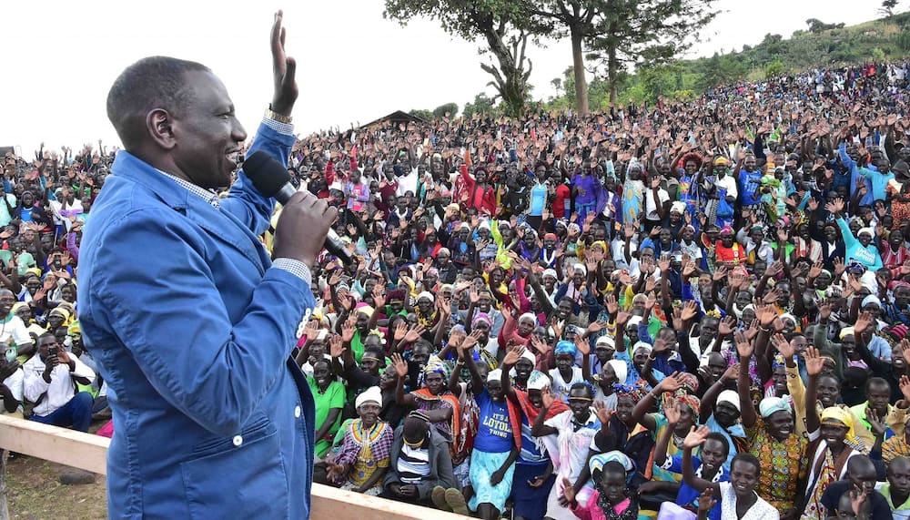 Kibra by-election: William Ruto hits back at Rachel Shebesh for supporting ODM man