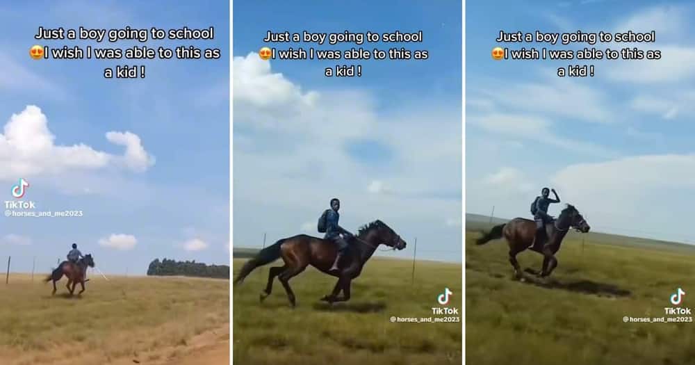 A video of a young boy travelling to school on horseback got 2.6M views
