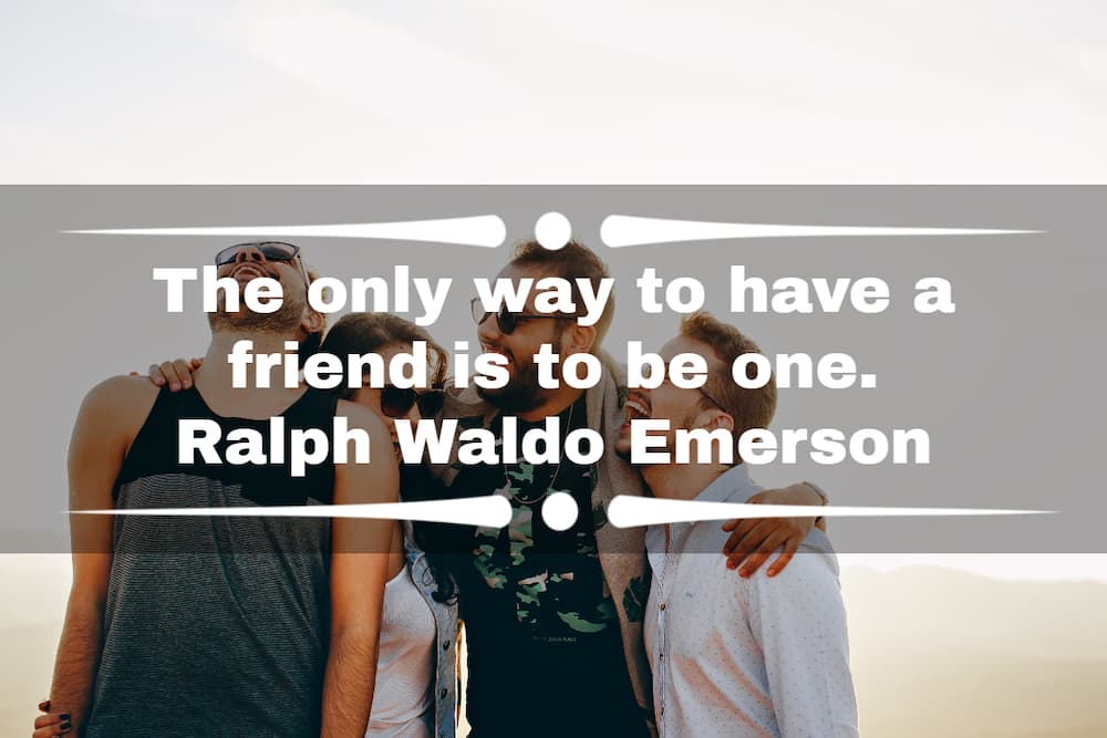 Best proverbs on friendship in English - Tuko.co.ke