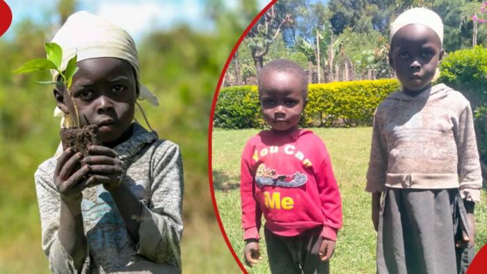 Bomet: Well-Wisher Offers Uniform to Young Environmentalist Who Warmed Hearts on Tree Planting Day