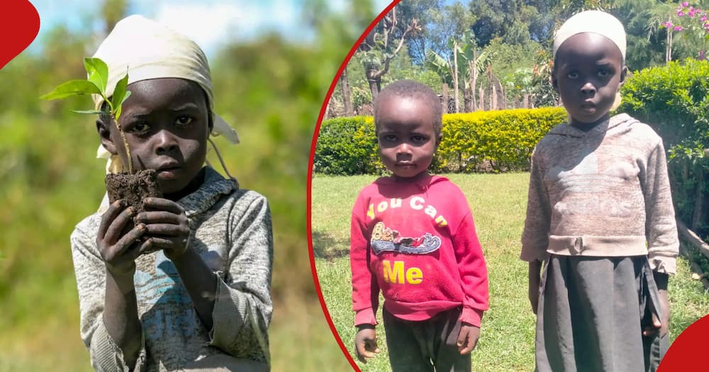 A young Tabatha Chumba Chelotich is seen on her third day of rice planting, and the next frame shows her and her brother Aron Kiprop.