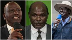 Elections Results: Raila Odinga, William Ruto Locked in Tight Presidential Race