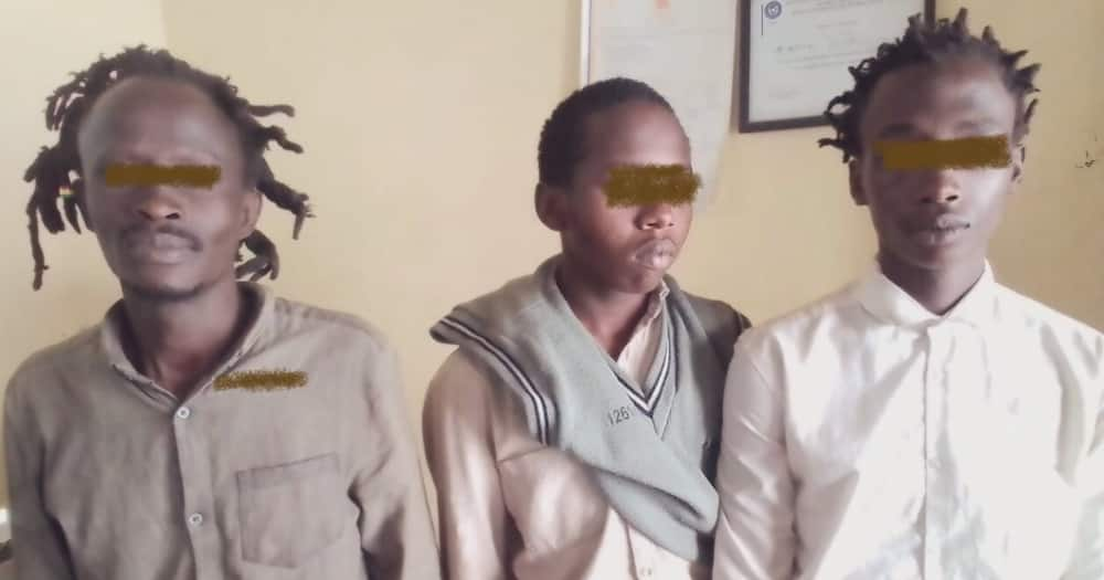 Majamaa 3 Wakabiliana na Polisi Waliong'oa Bangi ya KSh 15 Milioni