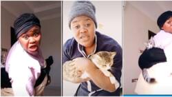 Kenyan Woman Becomes Tiktok Sensation with Her Comical Videos Playing, Carrying Cat