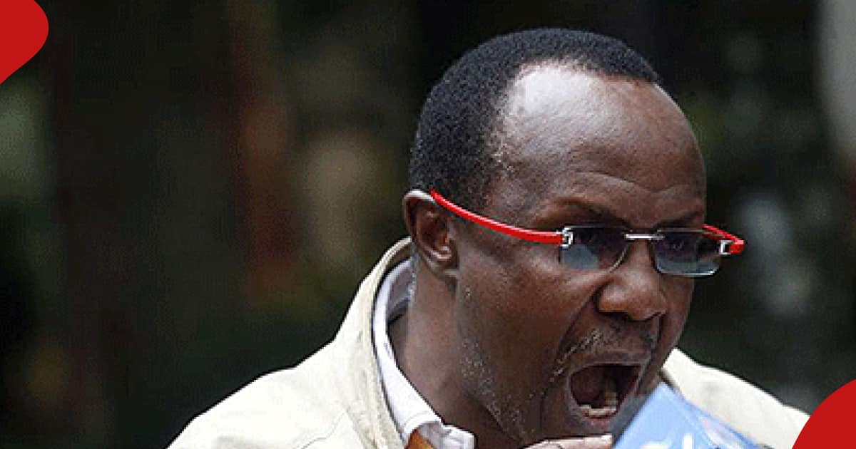 David Ndii Claims Kenyan Graduates Lack Writing Skills: "2 Out Of 3 CVs ...