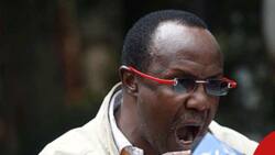David Ndii Warns Kenyans of Tough Times Ahead after EPRA Hikes Fuel Prices: "It Will Be Painful"