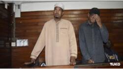 2 Sentenced To 8 Years in Jail over Possession of Ivory Worth KSh 3 Million