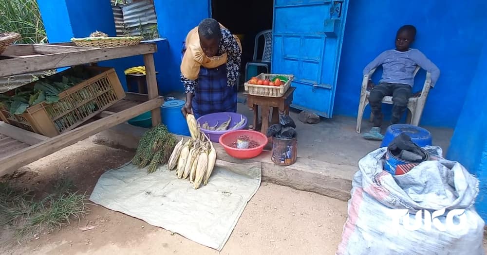 Kakamega Elderly Widow Living With Disability.