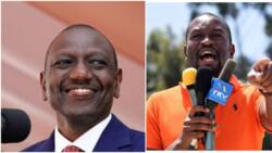 Kenyans Dare Edwin Sifuna to Make True Threat to Leave Kenya if William Ruto Becomes President