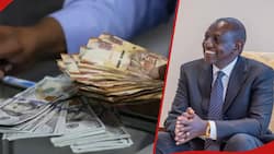 William Ruto Takes Credit as Kenya Shilling Strengthens Against US Dollar: "Mtaona Maajabu"