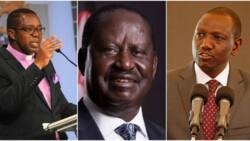 William Ruto, Raila Odinga Have Nothing to Show Kenyans after Many Years in Gov't, David Mwaure